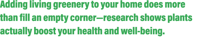 Adding living greenery to your home does more than fill an empty corner—research shows plants actually boost your hea...