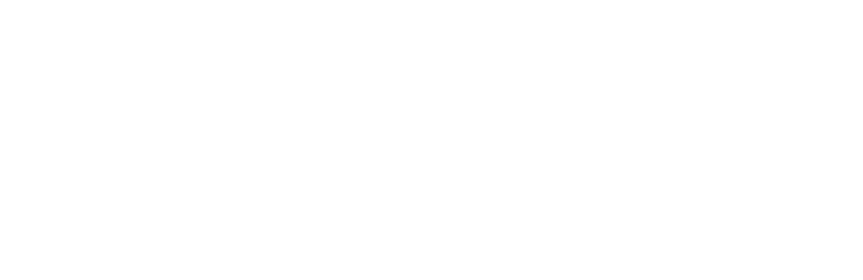 VIBES