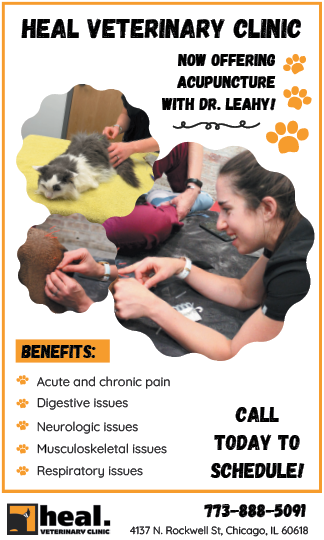 A flyer for a veterinary clinic. Description generated by AI