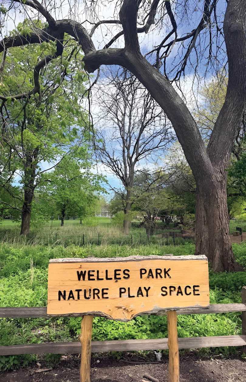 A sign on a wooden post in a park. Description generated by AI