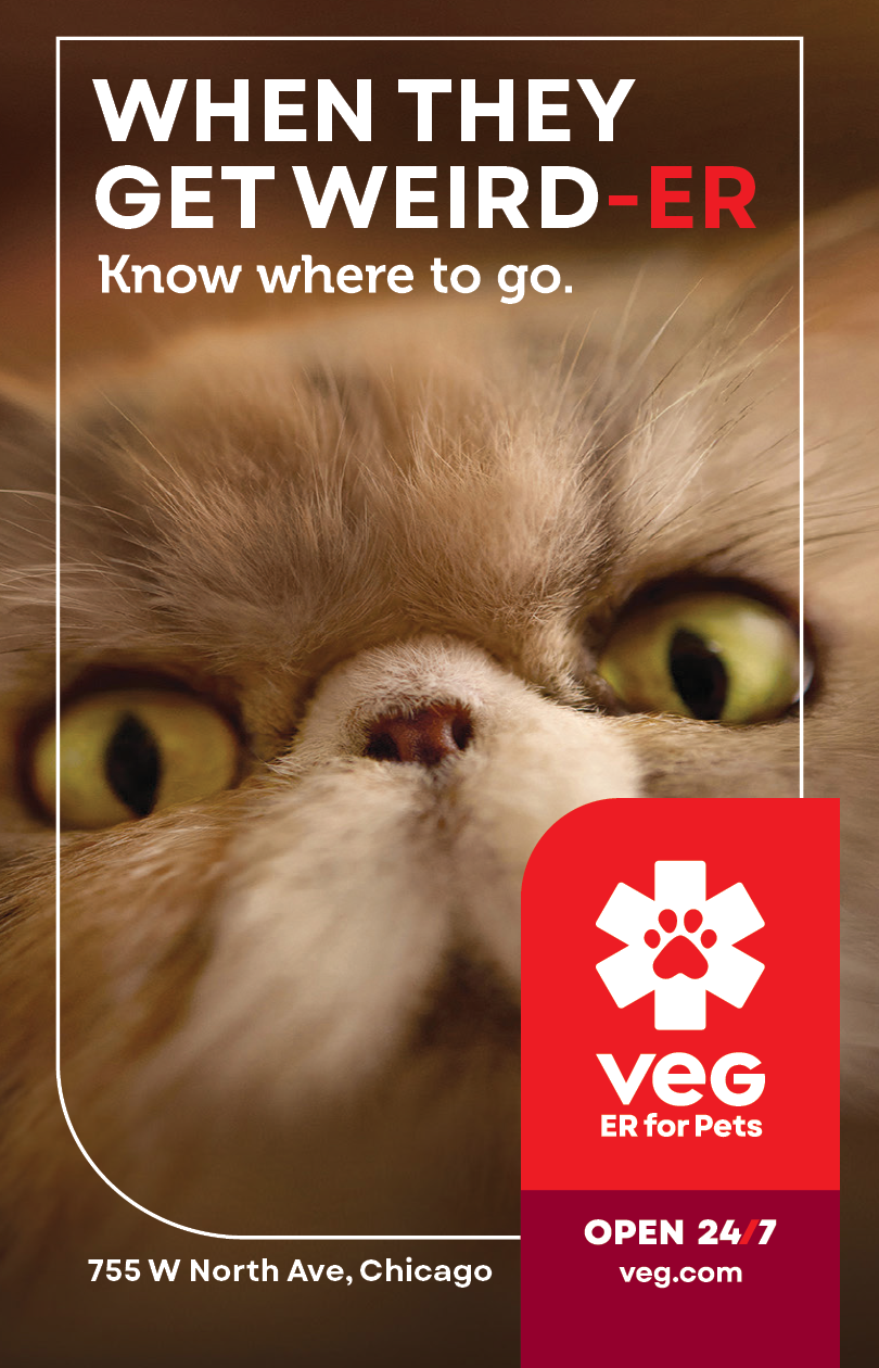 A cat with green eyes and a red and white design on its face. Description generated by AI