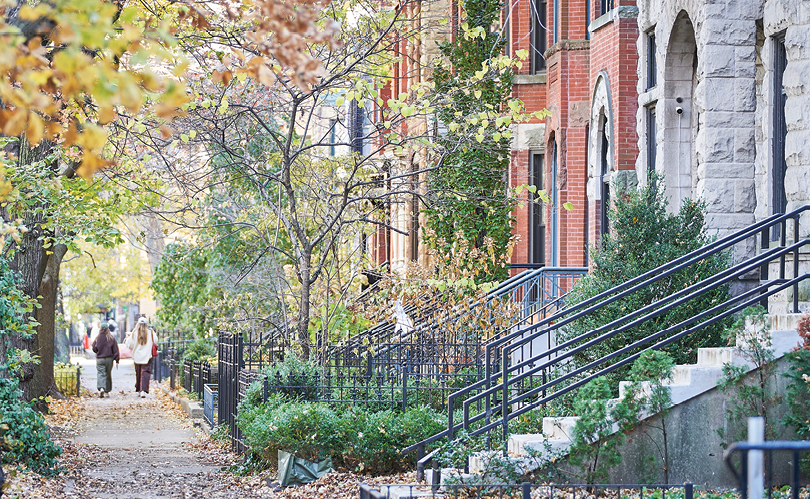 A tree-lined sidewalk with a woman walking down it. Description generated by AI
