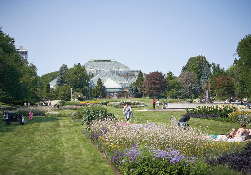 A green field with purple flowers and a white building in the background. Description generated by AI