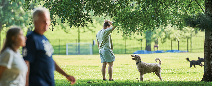 A man and woman walking in a park with a dog. Description generated by AI