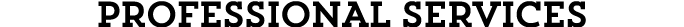 Professional Services