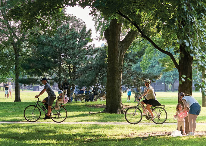 A group of people riding bikes in a park. Description generated by AI