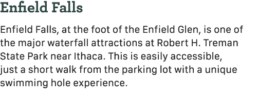 Enfield Falls Enfield Falls, at the foot of the Enfield Glen, is one of the major waterfall attractions at Robert H. ...