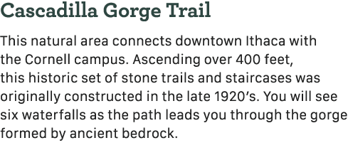 Cascadilla Gorge Trail This natural area connects downtown Ithaca with the Cornell campus. Ascending over 400 feet, t...