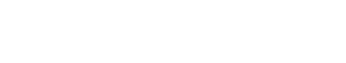 Downtown Ithaca & The Commons 