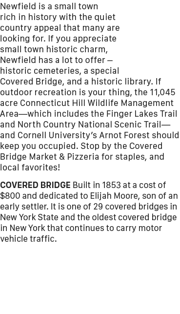 Newfield is a small town rich in history with the quiet country appeal that many are looking for. If you appreciate s...