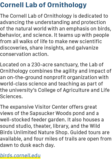 Cornell Lab of Ornithology The Cornell Lab of Ornithology is dedicated to advancing the understanding and protection ...