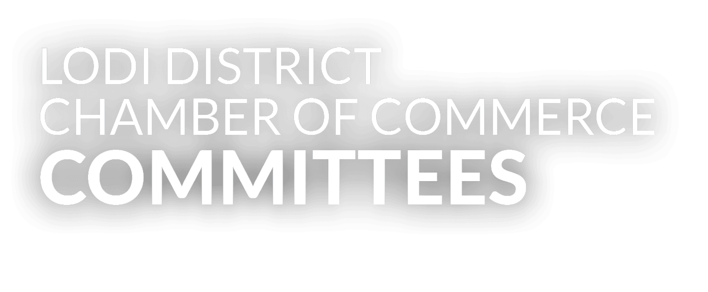 LODI DISTRICT CHAMBER OF COMMERCE COMMITTEES