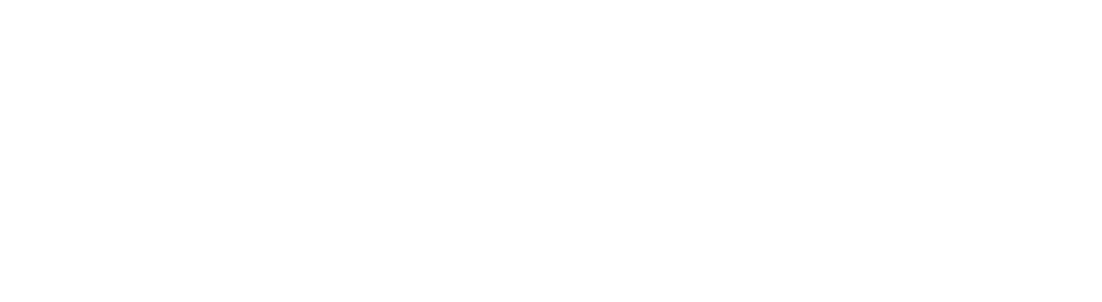 EXPERIENCE REVEL LODI 