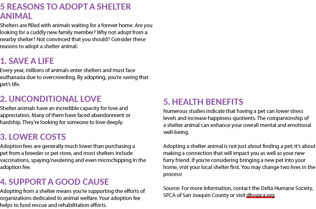 5 Reasons to Adopt a Shelter Animal Shelters are filled with animals waiting for a forever home. Are you looking for ...
