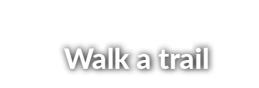 Walk a trail
