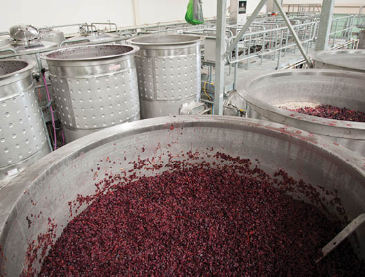 Red wine grapes fermenting in stainless steel open fermenters in a modern winery in Australia
