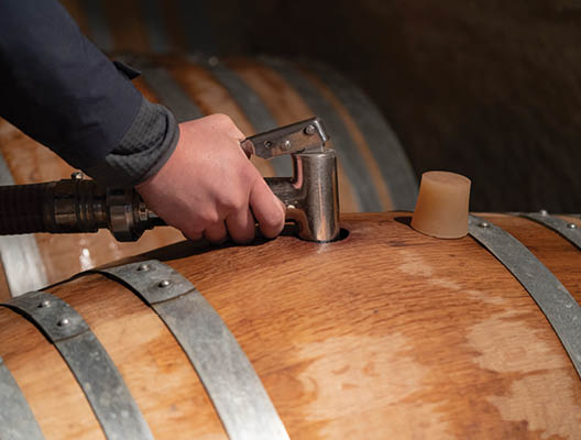 topping up wine barrels domaine pommard cote de beaune burgundy france in Cornas, Auvergne-Rh ne-Alpes, France