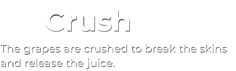Crush The grapes are crushed to break the skins and release the juice. 