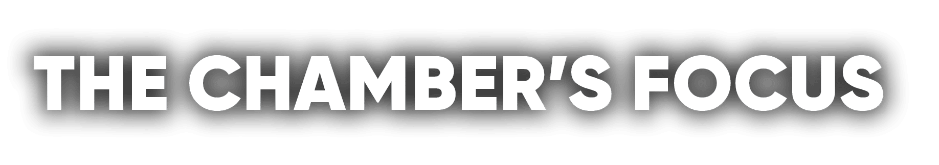 THE CHAMBER’S FOCUS