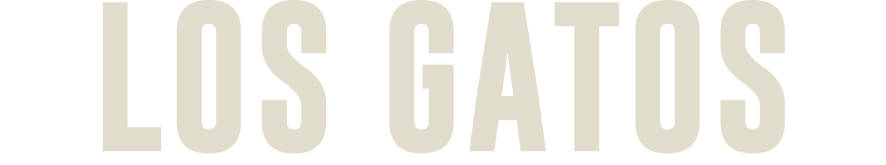 los gatos