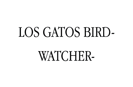 Los Gatos Birdwatcher 