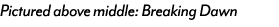 Pictured above middle: Breaking Dawn