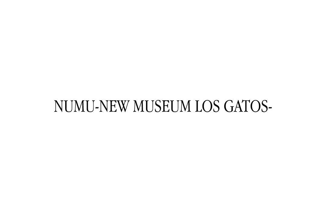 NUMU New Museum Los Gatos 