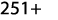 251+