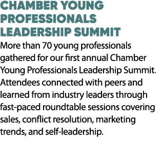 Chamber Young Professionals Leadership Summit More than 70 young professionals gathered for our first annual Chamber ...
