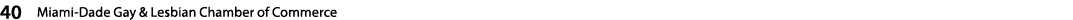 40  Miami-Dade Gay & Lesbian Chamber of Commerce   