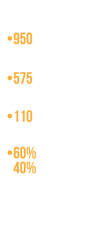 Powerful network of professionals 950 Members & Representatives 575 Companies (Small-Medium-Large) 110 Business Categ   