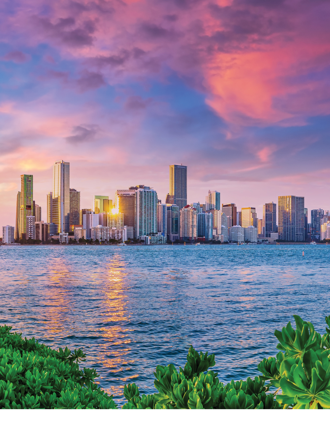 the skyline of miami while sunset