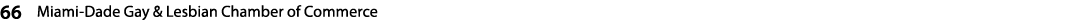 66 Miami Dade Gay & Lesbian Chamber of Commerce 