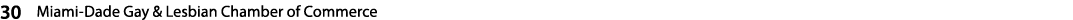 30 Miami Dade Gay & Lesbian Chamber of Commerce 
