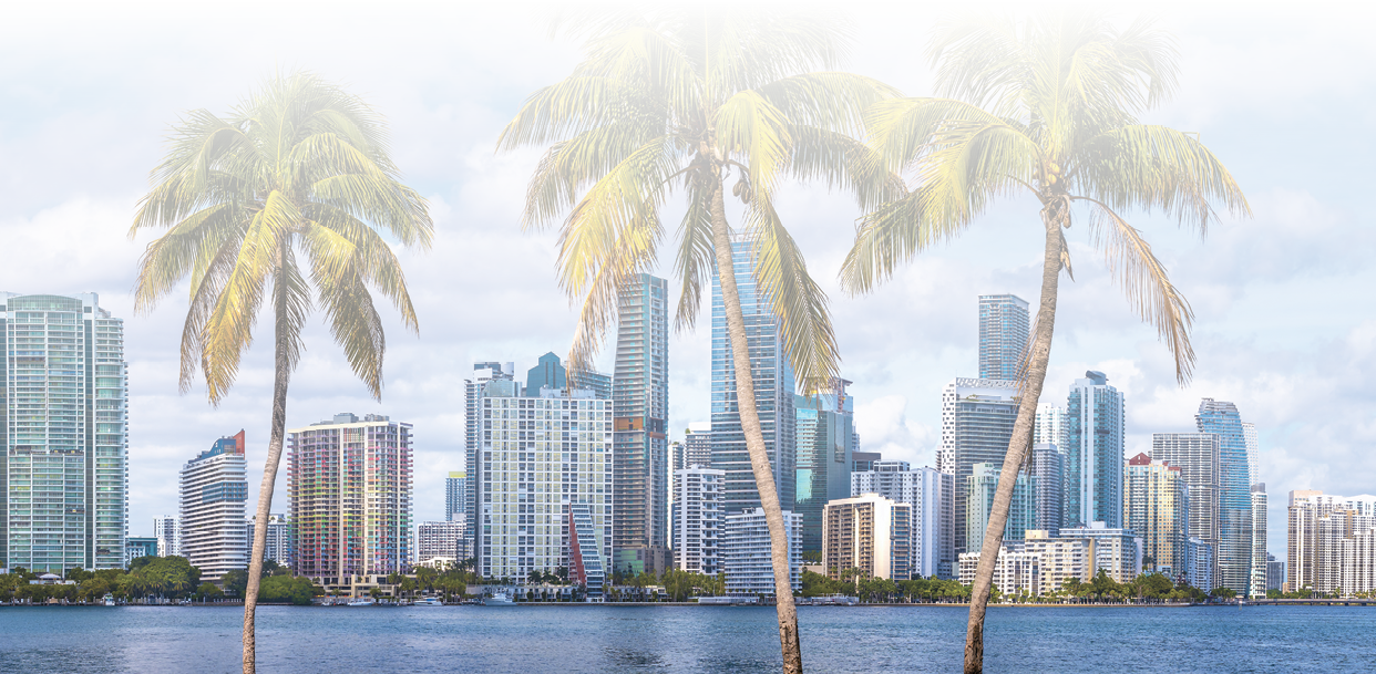 the skyline of miami with palm trees, florida