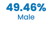 49.46% Male