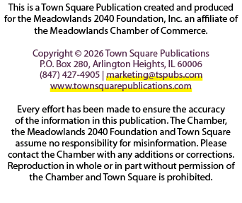 This is a Town Square Publication created and produced for the Meadowlands 2040 Foundation, Inc. an affiliate of the ...
