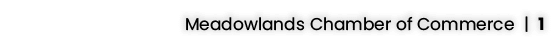 Meadowlands Chamber of Commerce | 1
