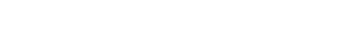 EMERGING LEADERS