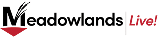 A logo for a live event called Meadowlands. AI generated content