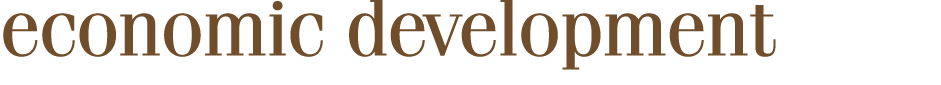 economic development