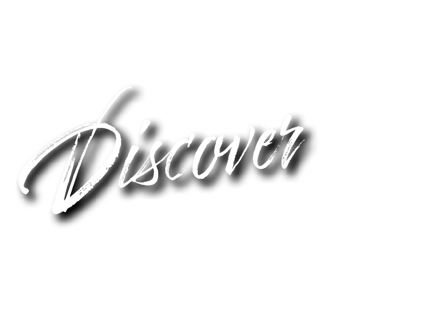 Discover