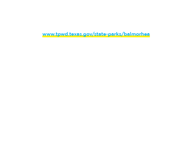 Balmorhea State Park 150 miles southwest of Midland 9207 Texas 17 South, Toyahvale, Texas (432) 375‑2370 | www.tpwd.t...