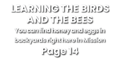 LEARNING THE BIRDS AND THE BEES You can find honey and eggs in backyards right here in Mission Page 14 