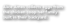 Alice Ames collects eggs from the chicken coop her family built in their backyard.