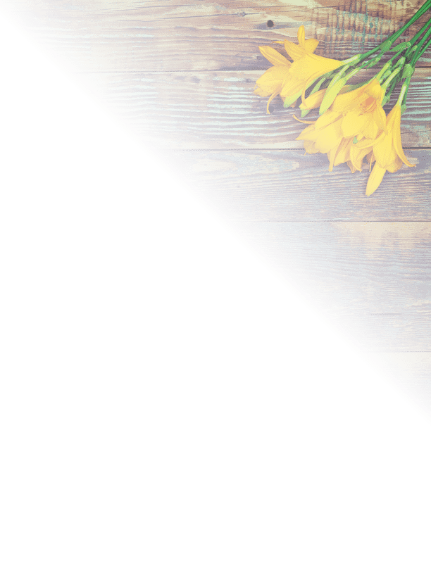 Yellow lily flowers on a wooden background