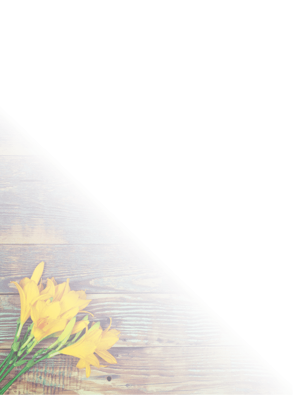 Yellow lily flowers on a wooden background