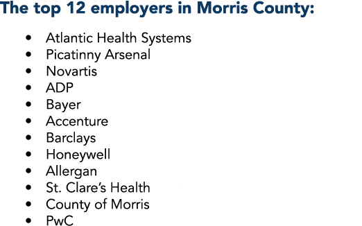 The top 12 employers in Morris County:    Atlantic Health Systems    Picatinny Arsenal    Novartis    ADP    Bayer      