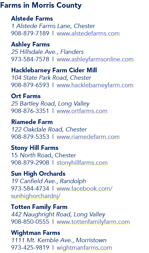 Farms in Morris County Alstede Farms 1 Alstede Farms Lane, Chester 908-879-7189   www alstedefarms com Ashley Farms 2   