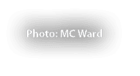 Photo: MC Ward